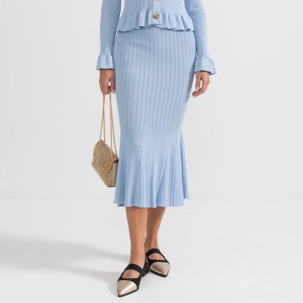 NWT Sierra Darien Flared Knit Skirt - Baby Blue